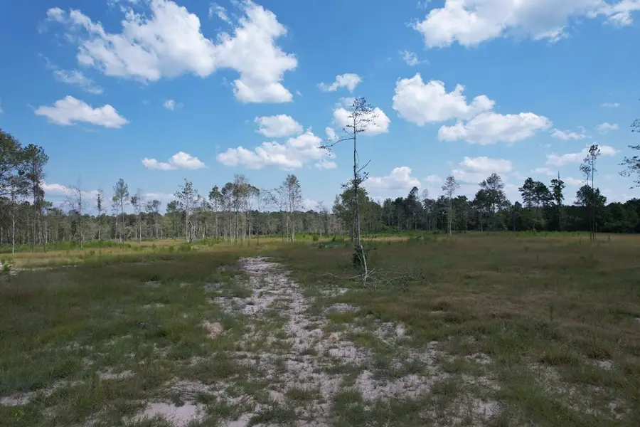 00 Highway 69 S, Zavalla, TX 75980 - #2