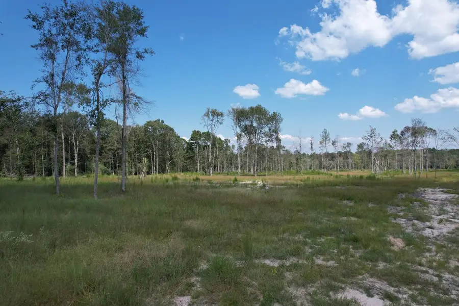 00 Highway 69 S, Zavalla, TX 75980 - #3