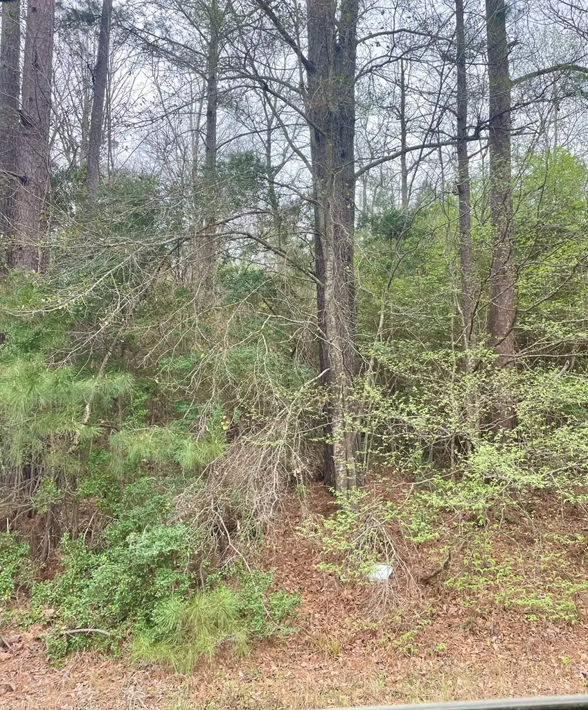 0 Highway 96 N, Jasper, TX 75951 - #2