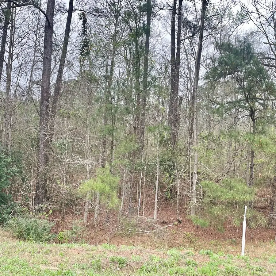 0 Highway 96 N, Jasper, TX 75951 - #3