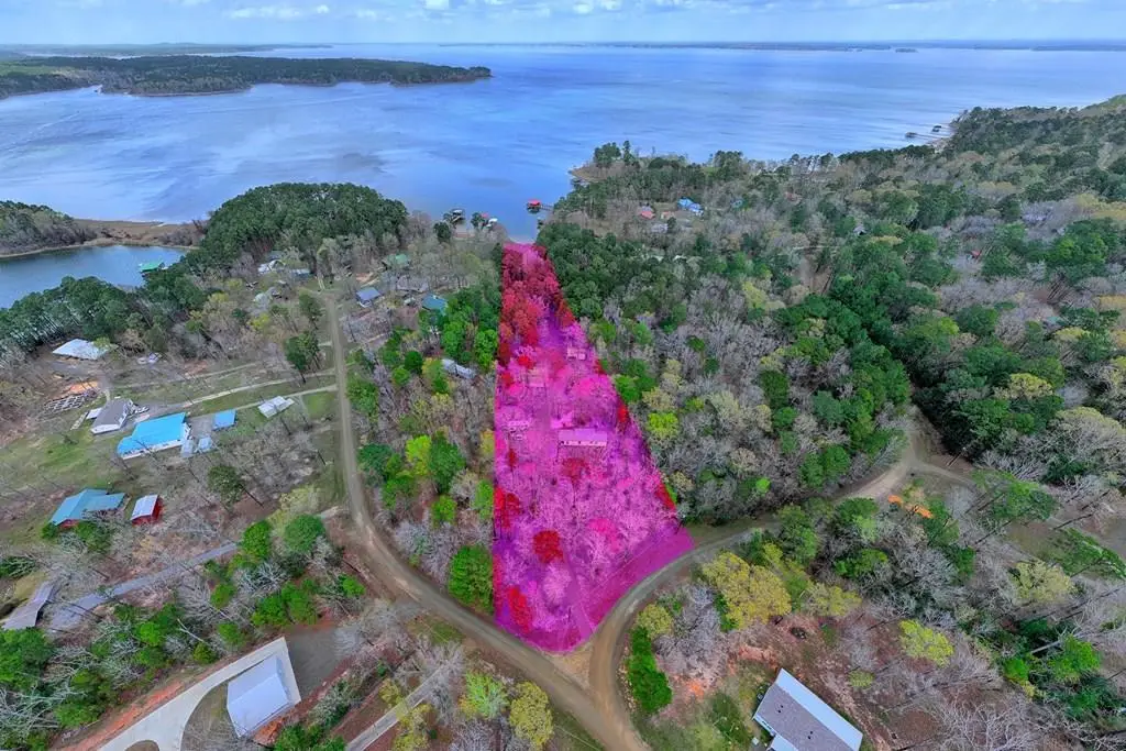 323 Cedar Crest Circle, Hemphill, TX 75948 - #1