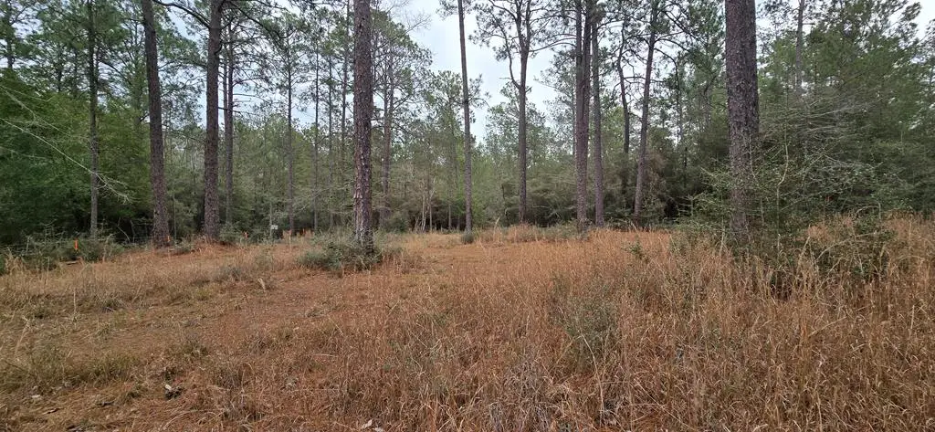 Lots 191, 192 Deddar Drive, Brookeland, TX 75931 - #1