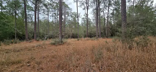 Lots 191, 192 Deddar Drive, Brookeland, TX 75931