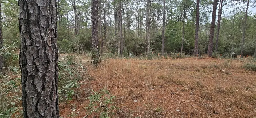 Lots 191, 192 Deddar Drive, Brookeland, TX 75931 - #3