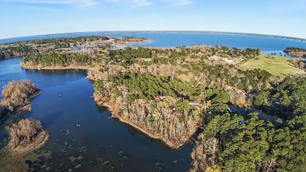 242 Lazy J Drive, Hemphill, TX 75948 - #1