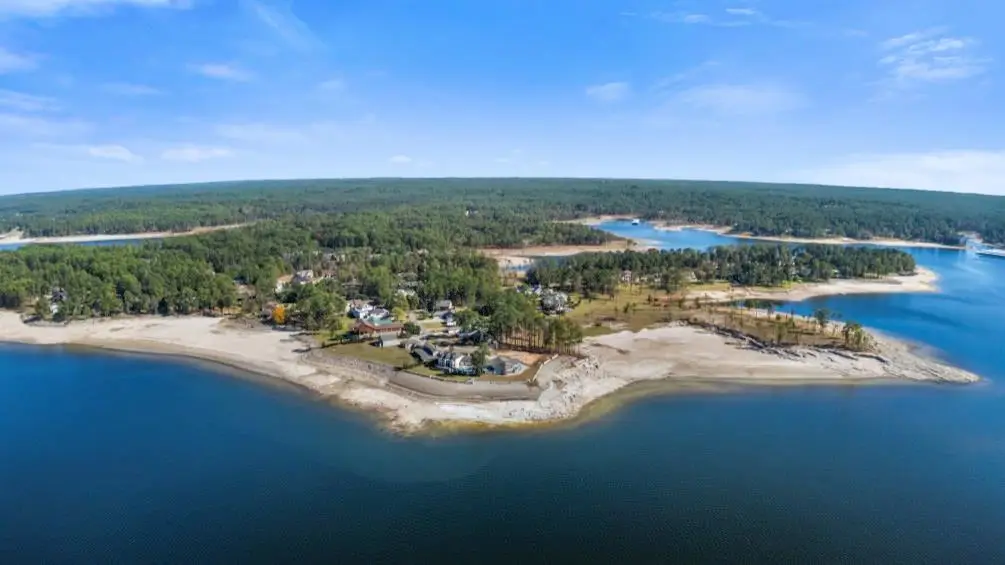 1594 Beachrock Drive, Brookeland, TX 75931 - #1