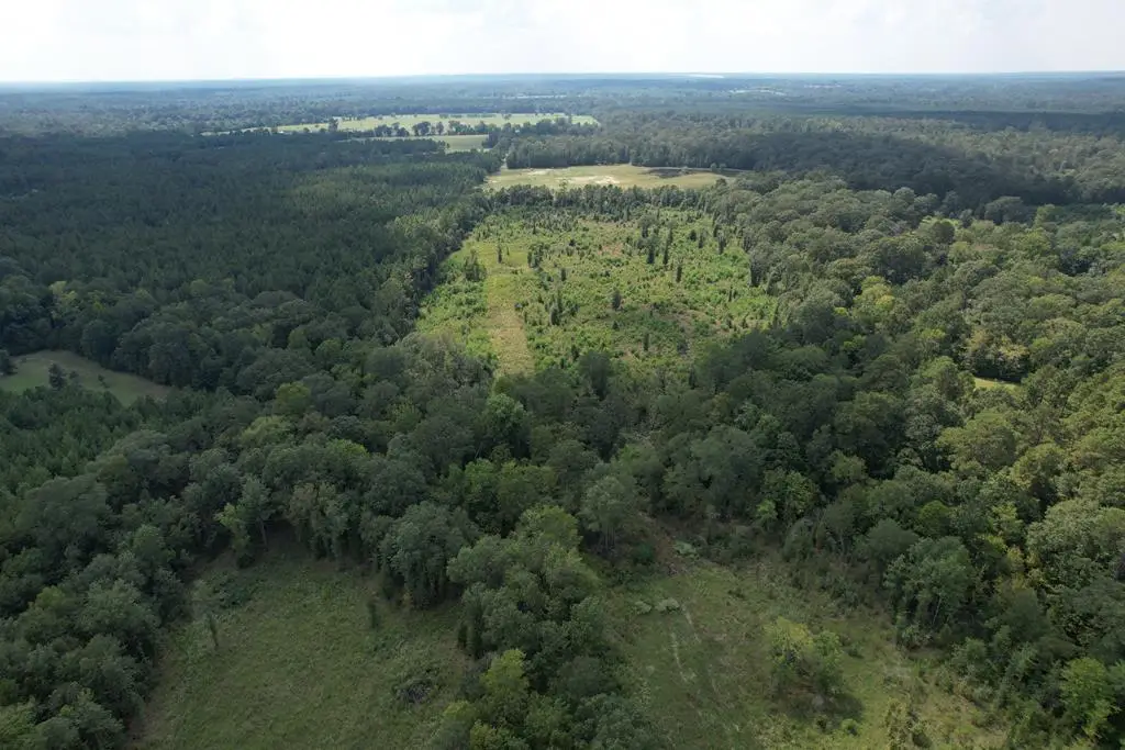 (R153782) Pahal Road, Huntington, TX 75949 - #1