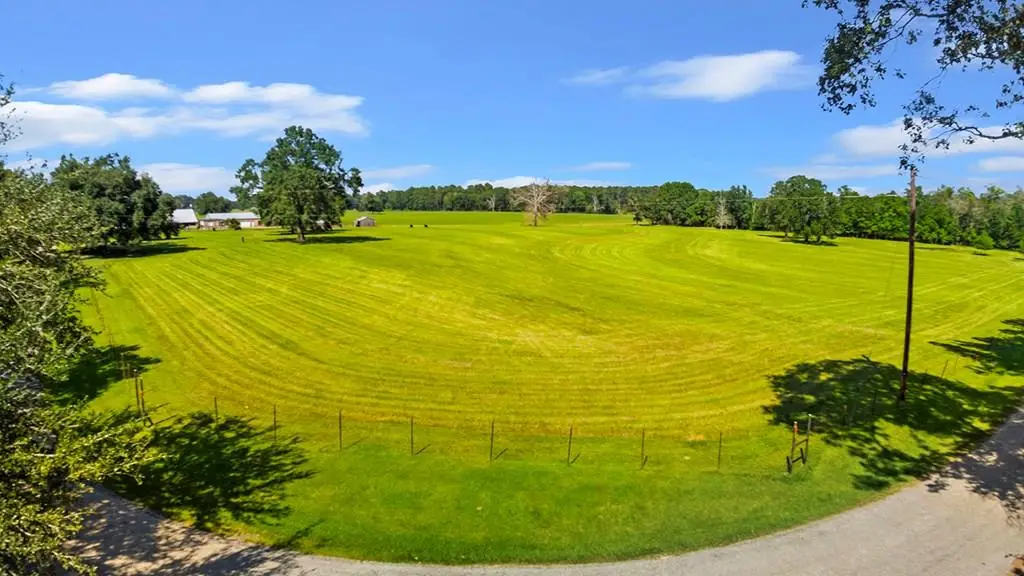 1780 County Road 480, Kirbyville, TX 75956 - #1