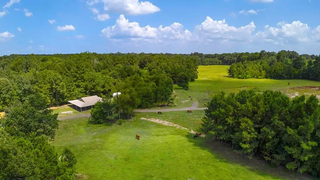 9429 Fm 83, Pineland, TX 75968 - #1