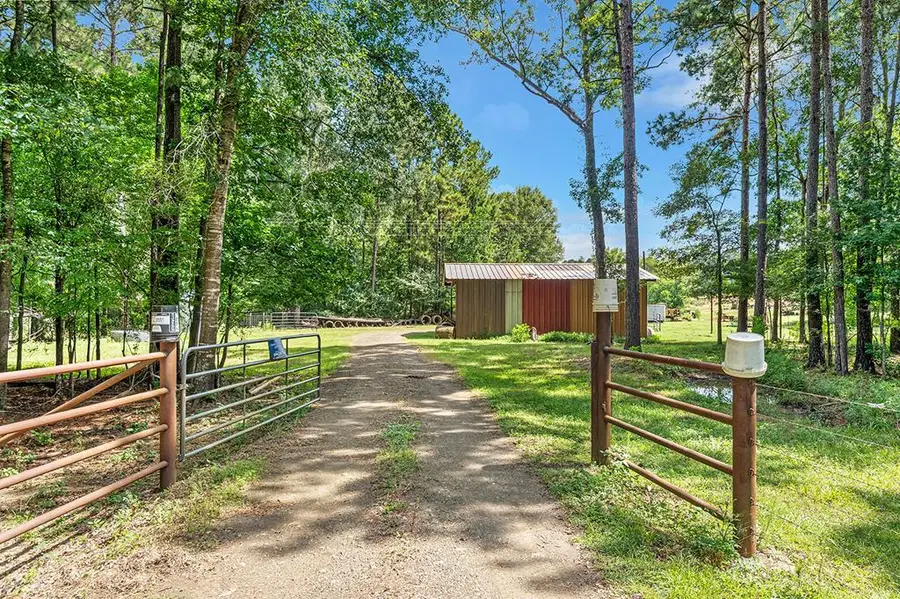 9429 Fm 83, Pineland, TX 75968 - #2