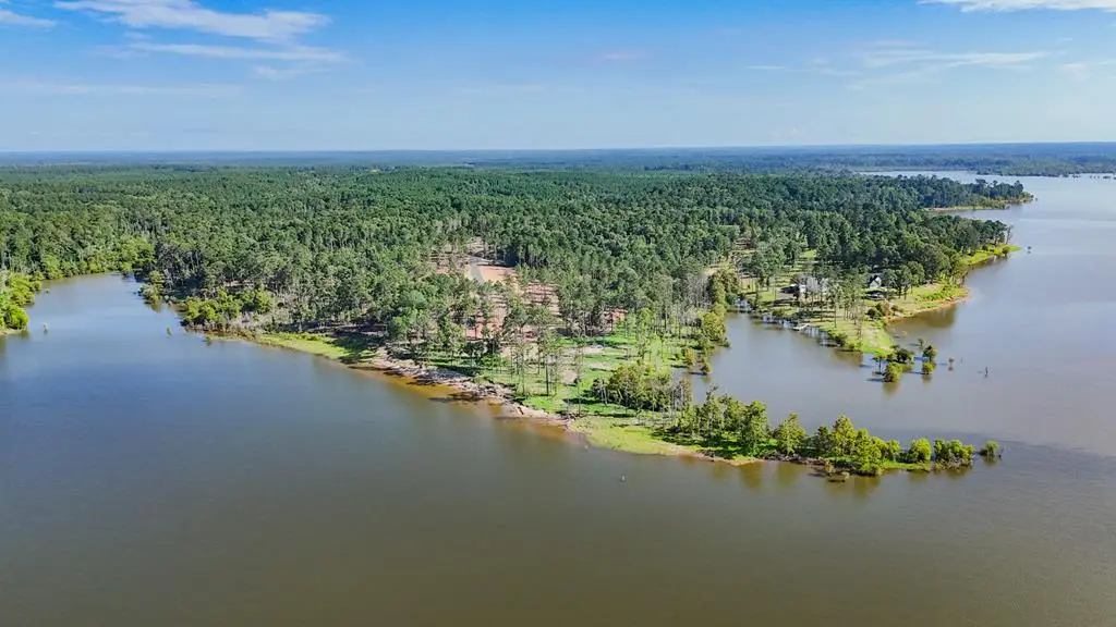 336 Debbie Lane, Pineland, TX 75968 - #1