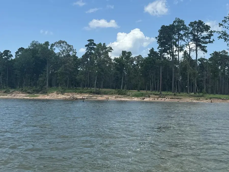 336 Debbie Lane, Pineland, TX 75968 - #3