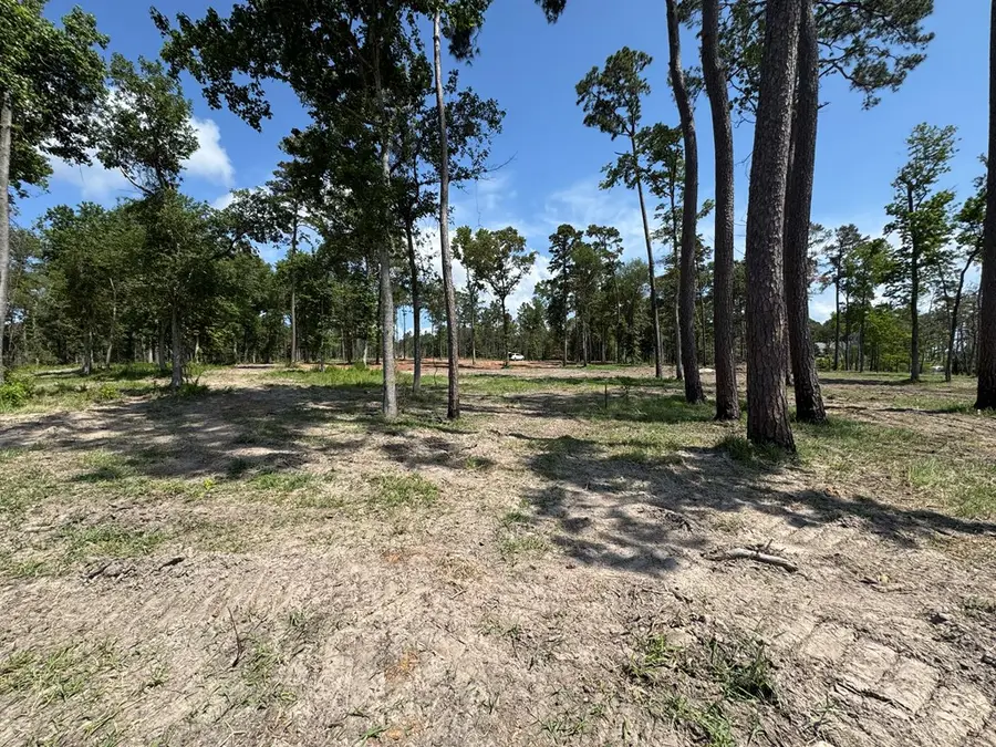 157 Foster Cove, Pineland, TX 75968 - #3