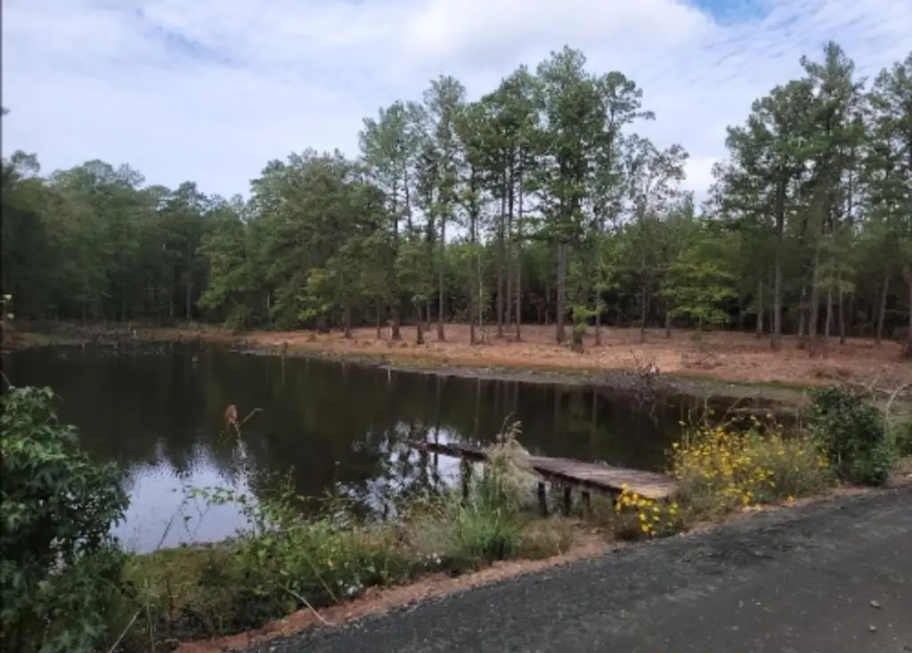 756 Private Road 8267, Bronson, TX 75930 - #1