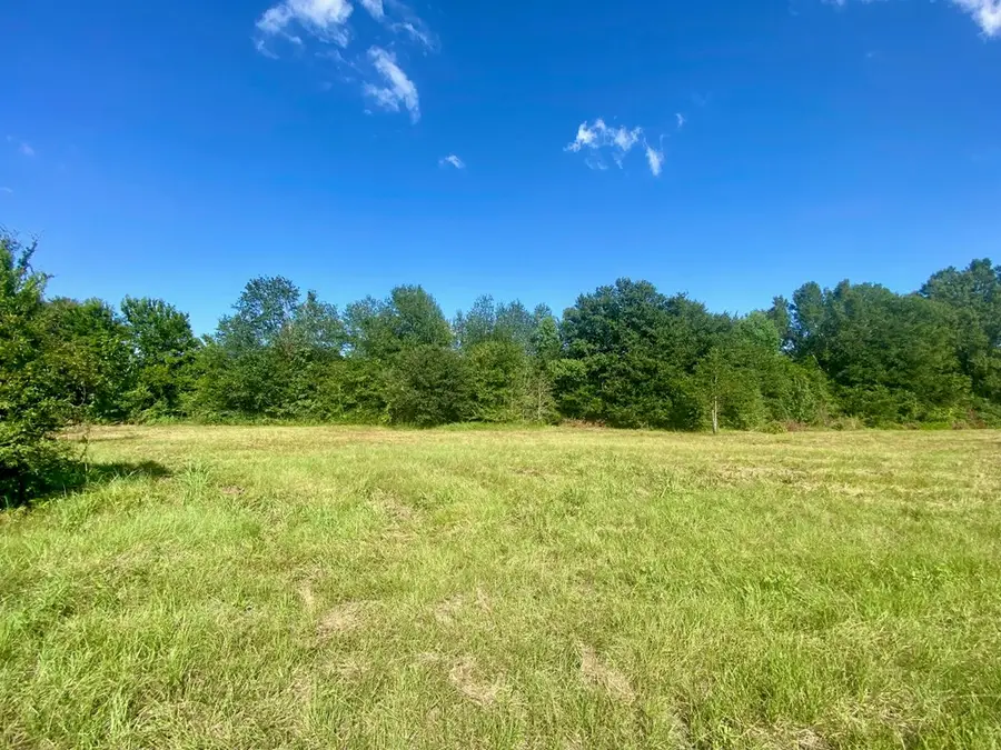 Lot #134 Jb Mcduff Drive, Crockett, TX 75835 - #2