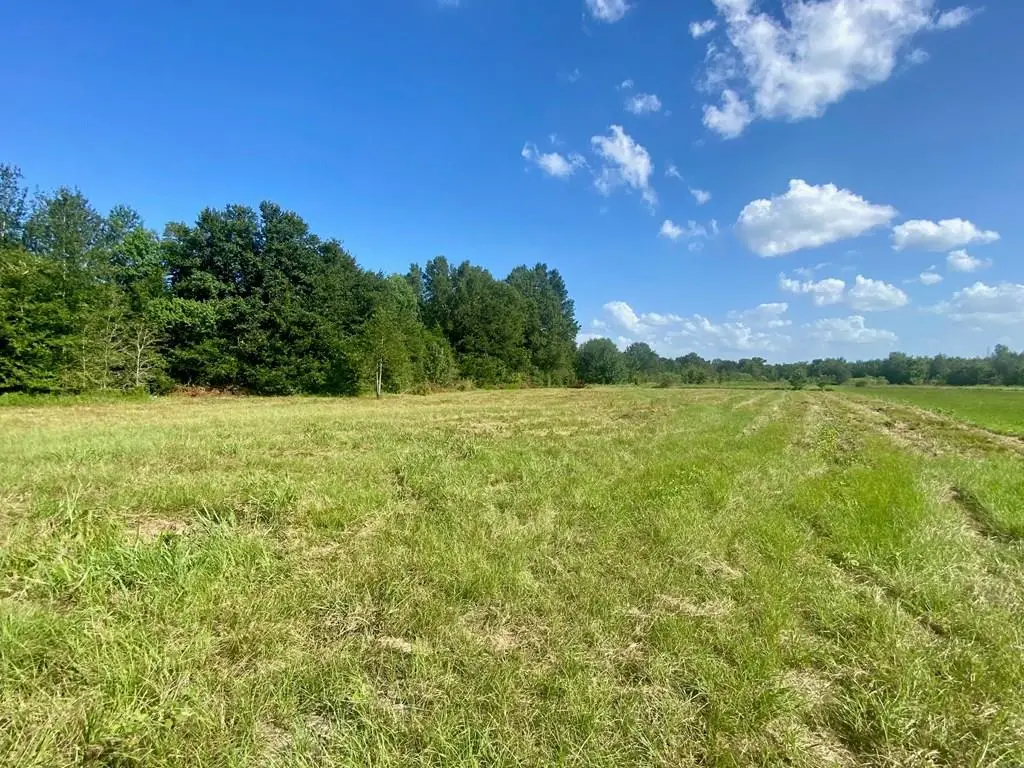 Lot #135 Jb Mcduff Drive, Crockett, TX 75853 - #1