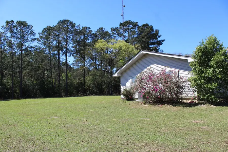 117 County Road 247 A, Jasper, TX 75951 - #3