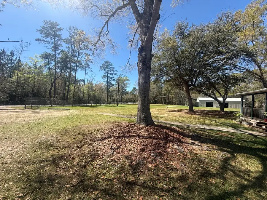 285 County Road 564, Kirbyville, TX 75956 - #3