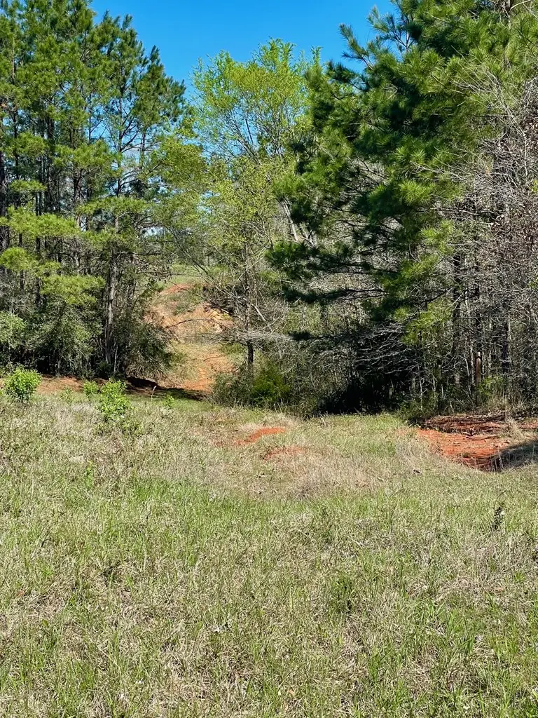 540 Cr 2830, Wells, TX 76055 - #2