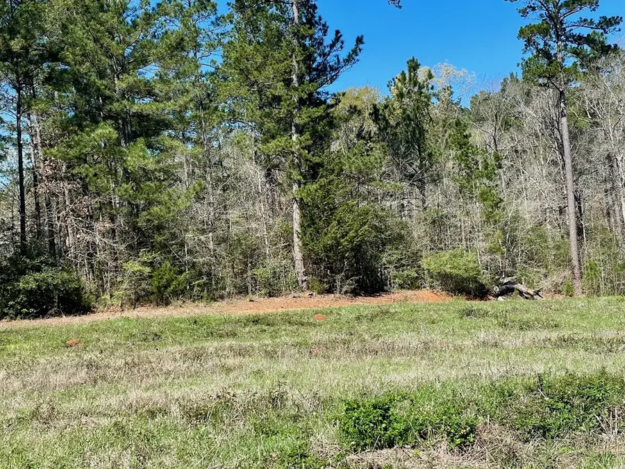 540 Cr 2830, Wells, TX 76055 - #3