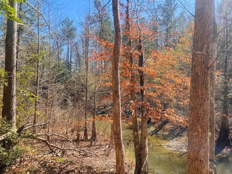 302 Eagle Lane, Burkeville, TX 75932 - #2