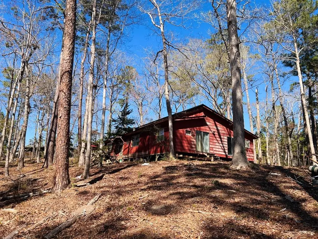 302 Eagle Lane, Burkeville, TX 75932 - #1