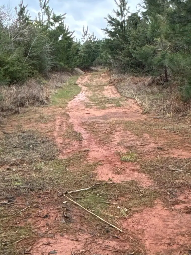 TR 002 Hwy 21e, Hemphill, TX 75948 - #2