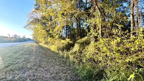 TR 004 Hwy 21e, Hemphill, TX 75948