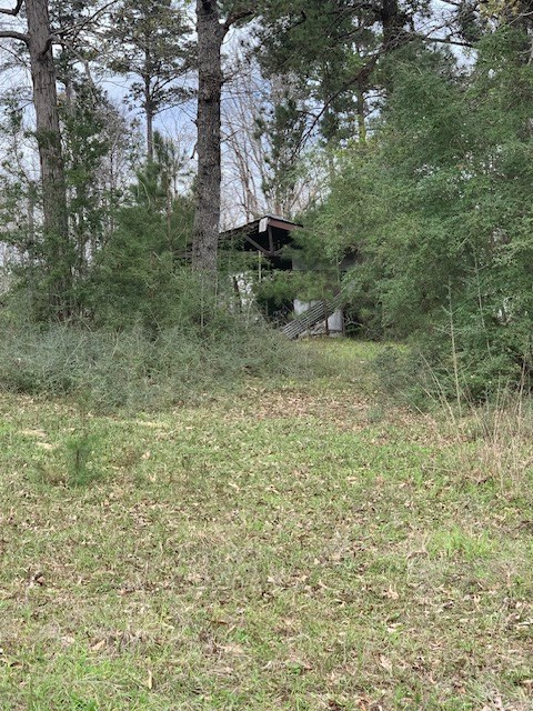 9470 US 96 S Hwy. 96 South, Kirbyville, TX 75956 - #3