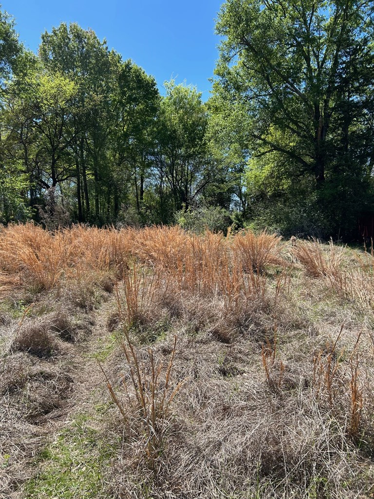 38986 Pecan Street, Lufkin, TX 75901 - #2