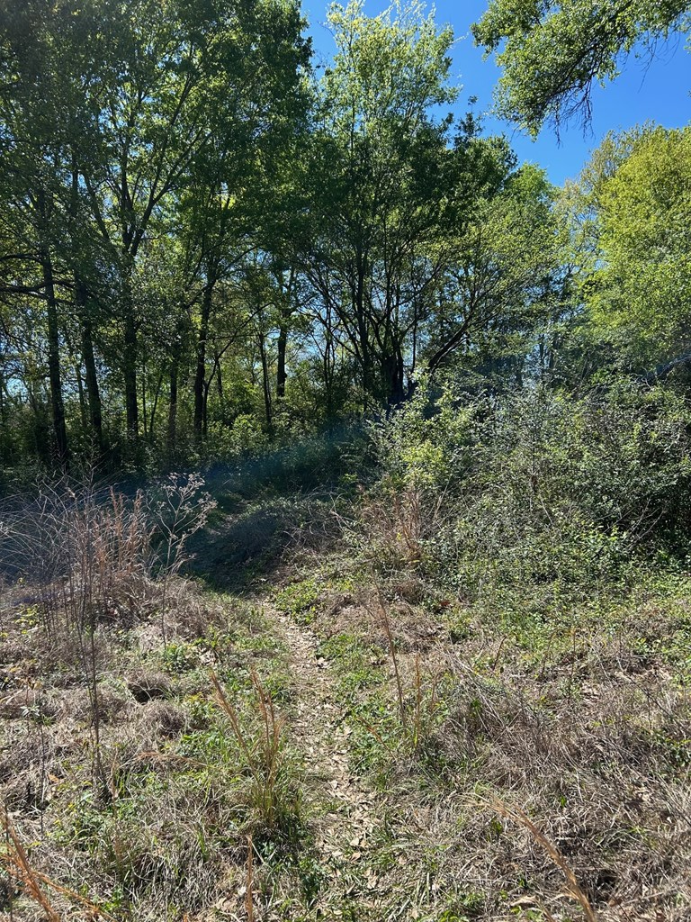 38986 Pecan Street, Lufkin, TX 75901 - #3