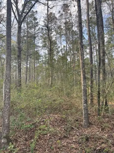 R21929 Youngblood Road, Huntington, TX 75949