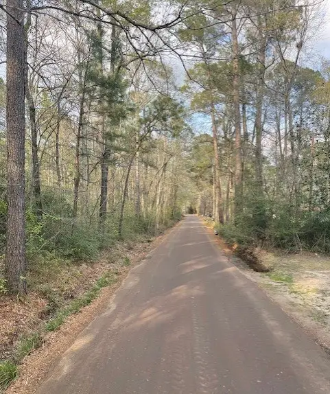 R21929 Youngblood Road, Huntington, TX 75949 - #3