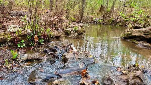 TR 006 Hwy 21e, Hemphill, TX 75948