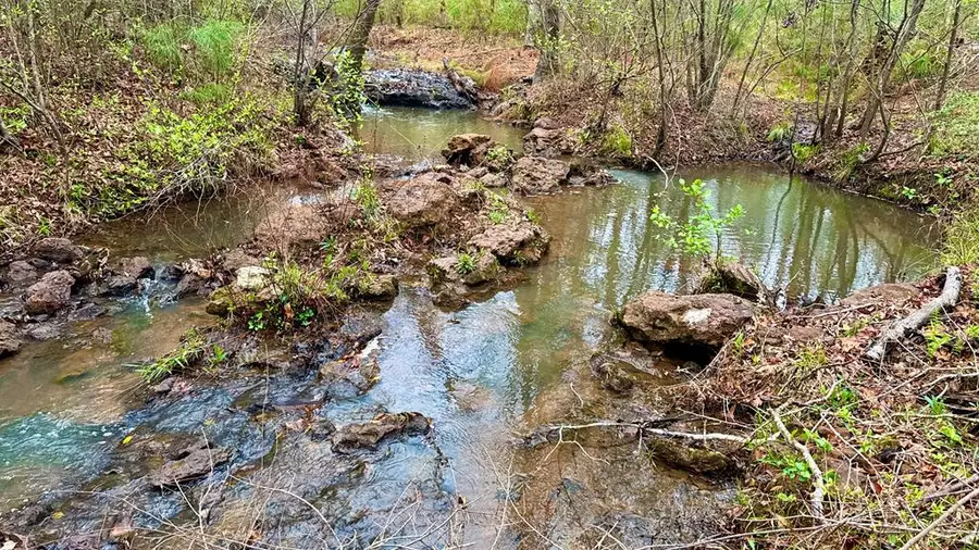 TR 006 Hwy 21e, Hemphill, TX 75948 - #3