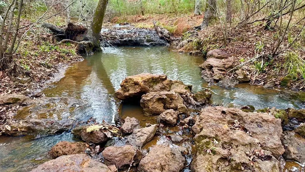 TR 007 Hwy 21e, Hemphill, TX 75948 - #1