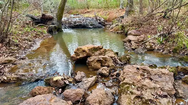 TR 007 Hwy 21e, Hemphill, TX 75948