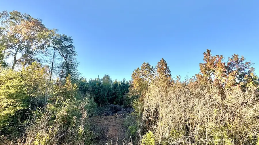 TR 009 Hwy 21e, Hemphill, TX 75948 - #3