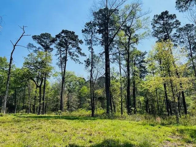 155 Crowell Lane, Milam, TX 75959 - #2