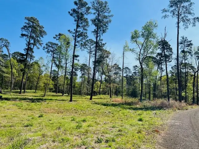 155 Crowell Lane, Milam, TX 75959 - #3