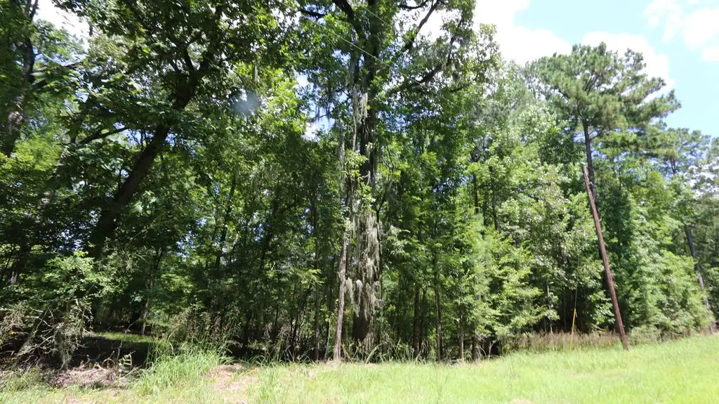 28411 County Road 374, Broaddus, TX 75929 - #1