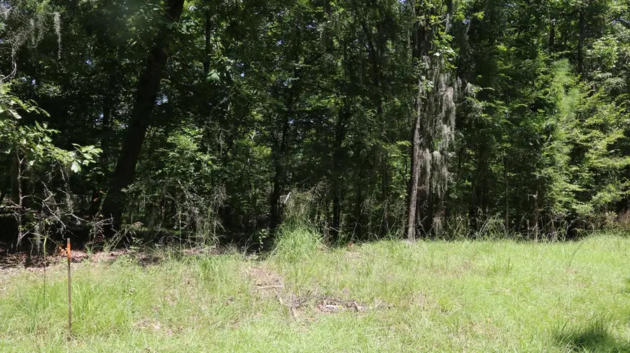 28411 County Road 374, Broaddus, TX 75929 - #2