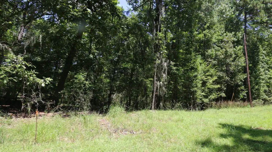 28411 County Road 374, Broaddus, TX 75929 - #3