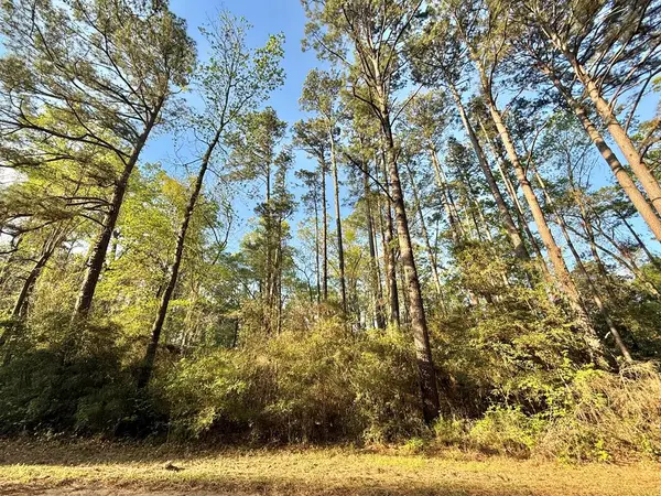 0 Bowline Drive, Hemphill, TX 75948