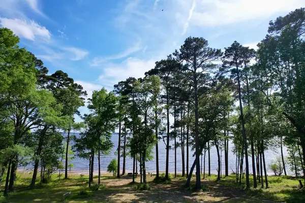 130 Sunset Lane, Etoile, TX 75944