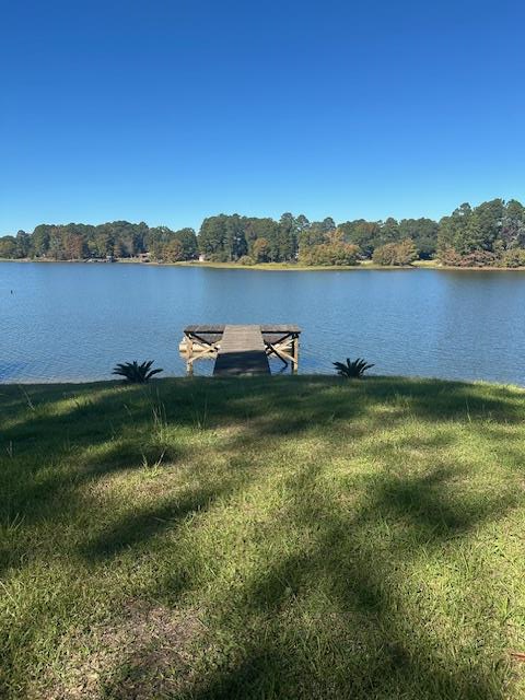 110 Point Drive, Milam, TX 75959