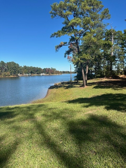 110 Point Drive, Milam, TX 75959 - #3