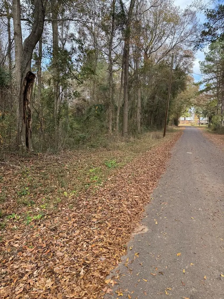 TBD Pine Street, Chireno, TX 75937 - #2