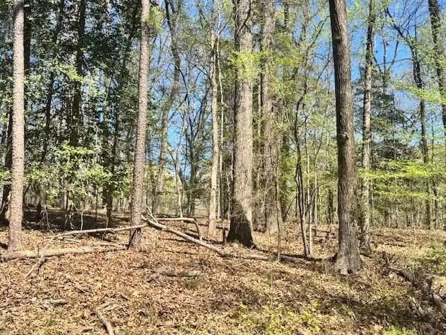 Lot 4 Cr 497, Etoile, TX 75944 - #1