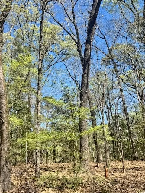 Lot 26 Cr 497, Etoile, TX 75944 - #3